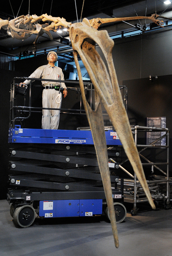 世界最大の翼竜の復元骨格、日本科学未来館に登場