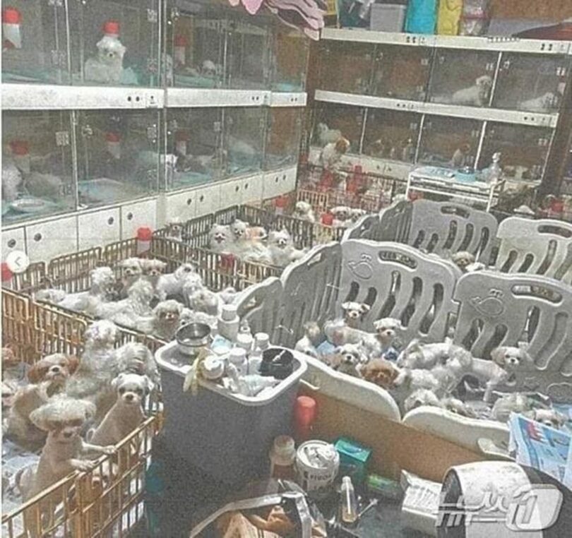 水原地検提供 (c)news1