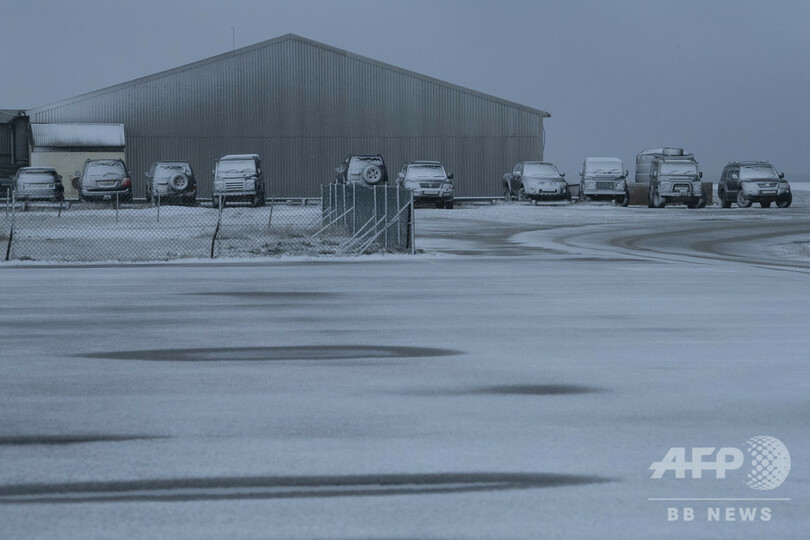 ブレグジットで冷え込むフォークランド諸島、野生生物保護や輸出に影響