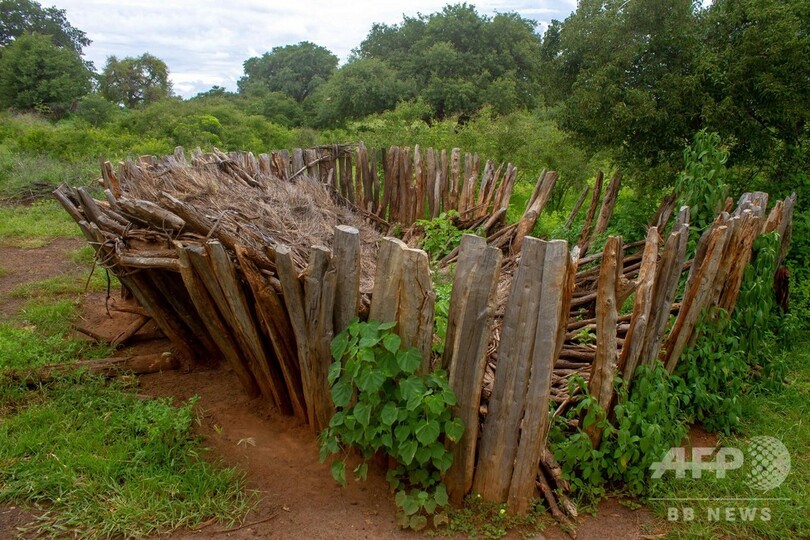 気候変動、少女ら女性に影響大 暴力や虐待の危険も アンゴラ