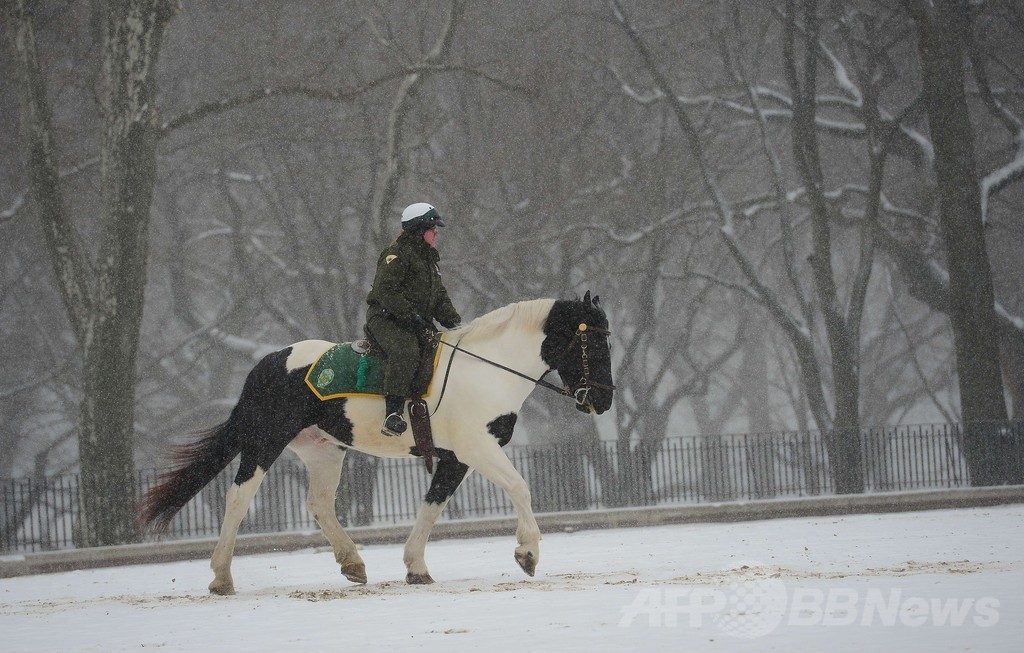 米北東部、暴風雪から一夜明け混乱続く