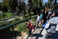 チュニジアの首都チュニスにあるベルベデーレ動物園のワニを観覧する来園者たち（2017年3月2日撮影）。(c)AFP/FETHI BELAID