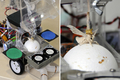 東京大学（Tokyo University）先端科学技術センター（Research Centre for Advanced Science and Technology、RCAST）の神崎研究室が製作した「昆虫操縦型ロボット」の全体（左）と「パイロット」のガの拡大写真（右、2009年5月29日撮影）。(c)AFP/Yoshikazu TSUNO