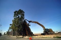 メキシコのバハカリフォルニア州メヒカリで、強風により倒れた国境壁に対応する作業員（2020年1月29日撮影）。(c)AFP