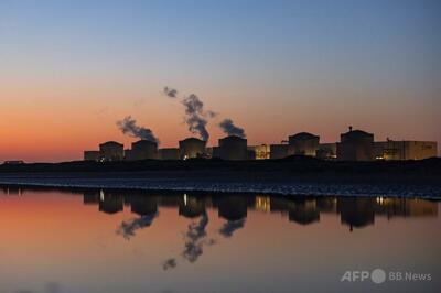 仏原発に大量のクラゲ、ポンプ詰まり運転停止
