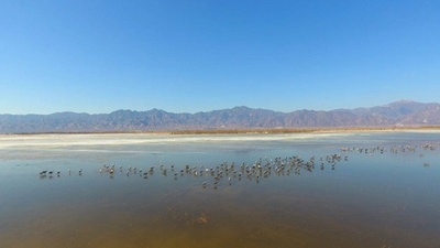 中国 ラムサール条約登録湿地が82カ所に