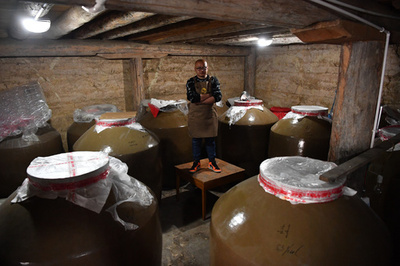 伝統製法守り近代化 チベット族青年、故郷で家業の「青稞酒」造り