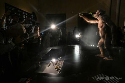 人類の祖先ルーシーの骨格化石、チェコで展示 欧州初