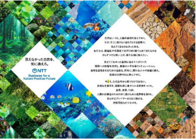 ネイチャーポジティブ分野におけるサービスと事業の推進に向けたビジョン「NTTネイチャーポジティブ事業ビジョン」を策定