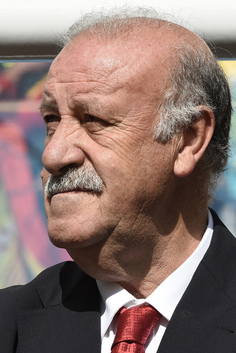 スペイン代表のデル・ボスケ監督が続投へ