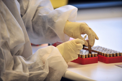 身長に関連する遺伝子変異約700特定、国際研究