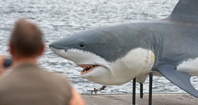 サメにかまれても気づかなかった豪サーファー男性