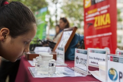 ジカ熱、スイスでも確認 15年から欧州で感染報告
