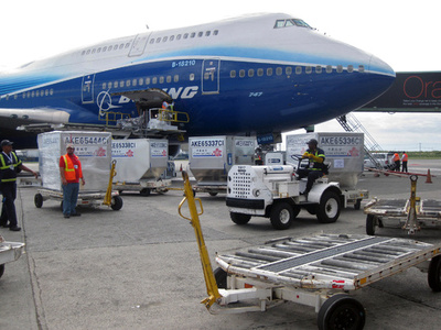 10歳の少年が航空機の爆破予告 ドミニカ共和国