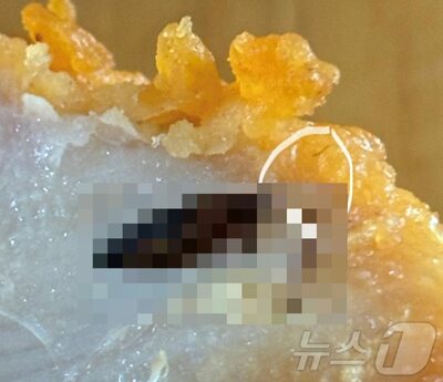韓国・配達されたチキンに混入した黒い物体…謝罪のないまま返金、怒る消費者