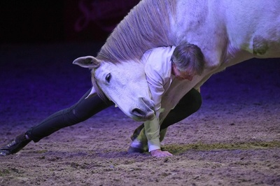 馬と人でつくるスペクタクル、ブダペストで馬術ショー ハンガリー