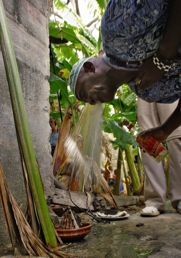 「2010年は騒乱の年」、民間信仰の司祭1000人が予言 キューバ