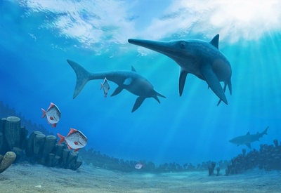 魚竜の絶滅、気候変動が原因か 研究