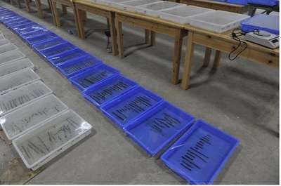 中国の海昏侯墓考古学的調査 秦・漢時代の『詩経』全巻を初めて発見