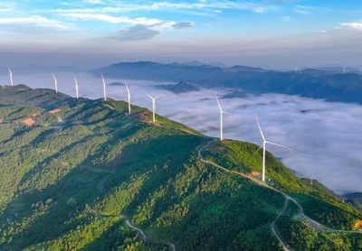 中国のグリーン電力取引、2024年に著しい成長