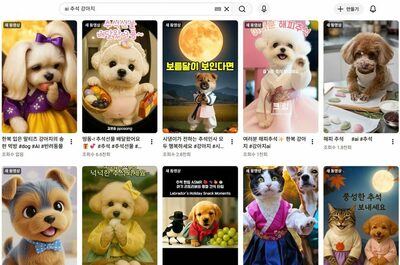 韓服姿のワンちゃん・ネコちゃんがAIで“秋夕料理”…松餅作りやチヂミ焼きにネット民ほっこり