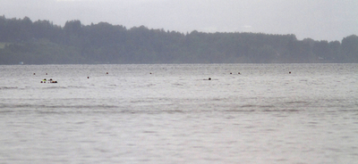 ノルウェー爆発・銃乱射、容疑者が「単独行動」供述