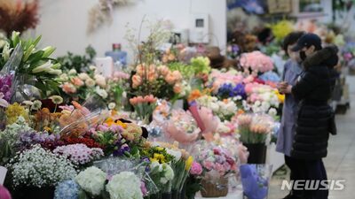 「母の日」の主役が消える？…中東戦争の余波でカーネーションが高騰、韓国の花店を襲う“四重苦”