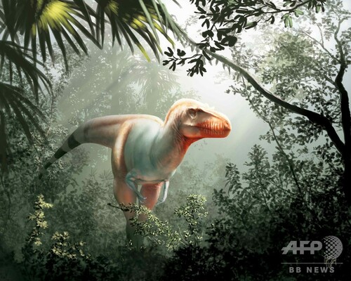 特集 古代生物図鑑 太古に生きた奇妙な動物たち 写真52枚 ファッション ニュースならmode Press Powered By Afpbb News