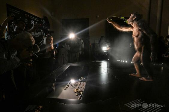 人類の祖先ルーシーの骨格化石、チェコで展示 欧州初