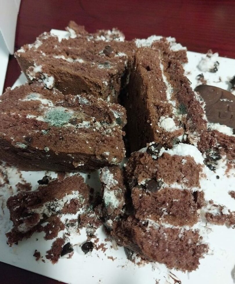 自営業者のオンラインコミュニティ(c)NEWSIS