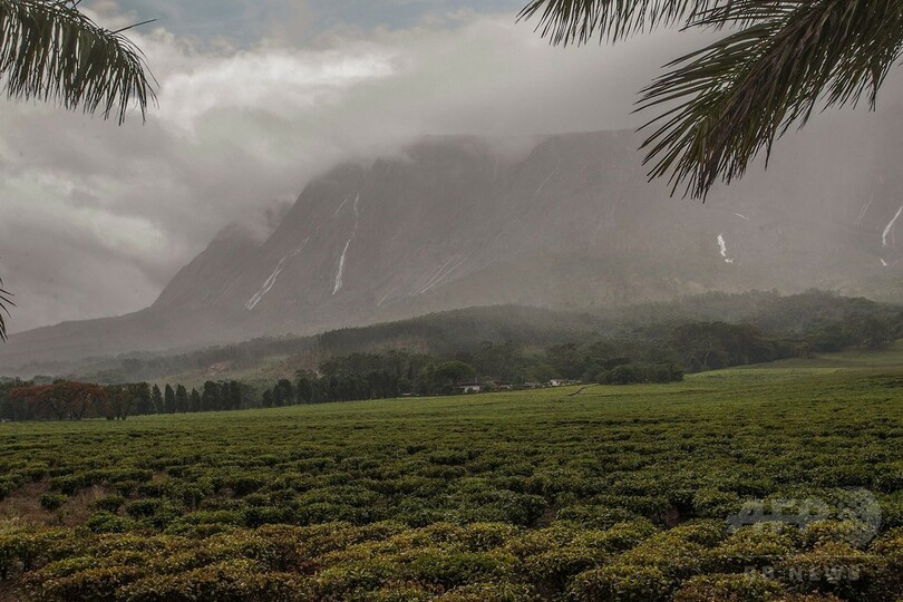 マラウイを揺るがす吸血鬼騒動、その根底にあるもの