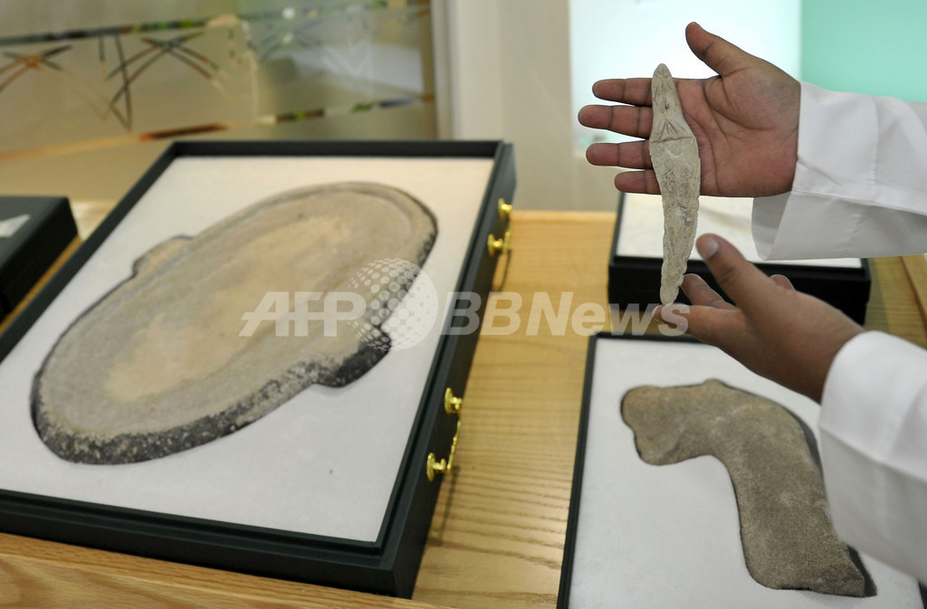 ウマの家畜化9000年前か、サウジアラビアで遺跡発見