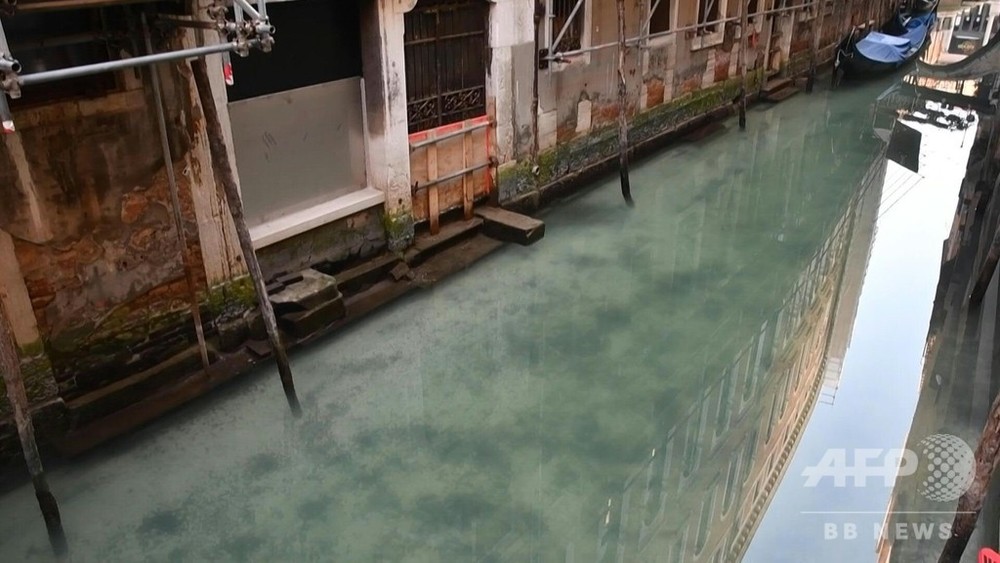 動画 ベネチアの運河がきれいに 新型コロナで観光客減り 写真1枚 国際ニュース Afpbb News