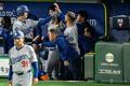 ドジャースが開幕戦逆転勝ち 大谷2安打 山本が勝利投手に 25MLB、シカゴ・カブス対ロサンゼルス・ドジャース。ダッグアウトでチームメートとハイタッチを交わすロサンゼルス・ドジャースの大谷翔平(2025年3月18日撮影)。(c)Philip FONG / AFP