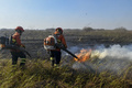 ブラジルの熱帯湿原パンタナルで火の制御にあたる消防隊員。マトグロソドスル州提供（2024年6月23日撮影）。(c)AFP PHOTO /  Mato Grosso so Sul Government