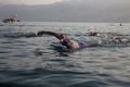 ヨルダンからからイスラエルまで死海を泳いで渡る人たち（2016年11月15日撮影）。(c)AFP/Gali TIBBON