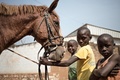 中央アフリカの首都バンギの路上で、スマイラ・ザカリア・メジーダさんの馬に触る子どもたち（2020年1月23日撮影）。(c)FLORENT VERGNES / AFP
