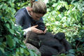 カメルーンのメフー国立公園（Mefou National Park）で、ゴリラの子どもをあやすラチェル・ホーガン（Rachel Hogan）さん。(c)AFP/Wildlife and Habitat Protection
