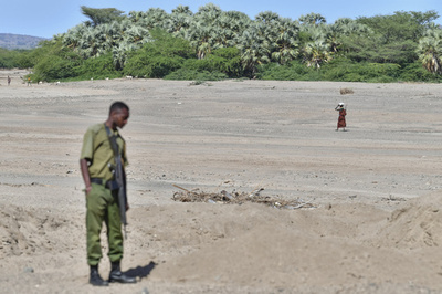5度の密猟生き延びたゾウ死ぬ 干ばつの影響も ケニア