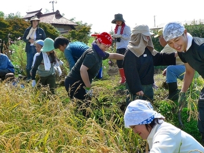 農水省、農山漁村における雇用対策を発表