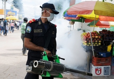 欧州でデング熱流行の兆し、ポルトガルのマデイラ島から