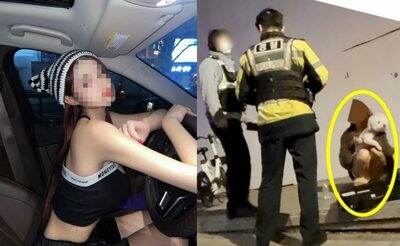 死亡事故起こして犬抱いていた泥酔ベンツ女性＝韓国の有名DJ…ネットで個人情報拡散