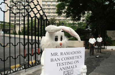 ウサギだって動物実験に反対! 動物愛護団体PETAが抗議デモ