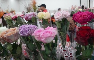 「520」、中国雲南省昆明市の生花市場 1日の取引量が750万本近くに