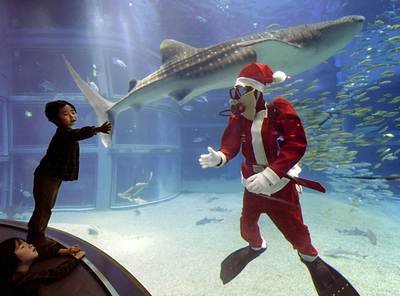 サンタ姿のダイバーがお出迎え、大阪の水族館