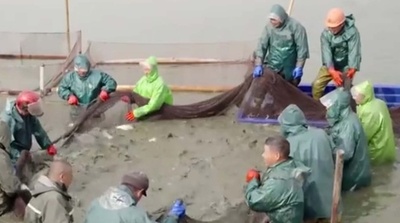 中国の南方 冬の漁が最盛期を迎える