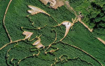 世界の空を飛ぶピカソの「平和の鳩」 畑の巨大迷路に ドイツ