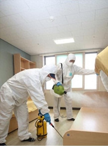 トコジラミが韓国の多くの場所で出没 入国荷物を通じて入ったか