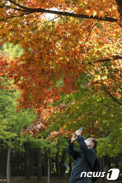 「心まで染めた秋の紅葉」…休日を迎えて全国各地の秋のお出かけ – KOREA WAVE