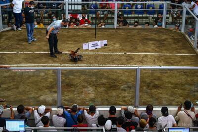 フィリピン、日本に技術支援要請 湖に沈められた闘鶏参加者の捜索で